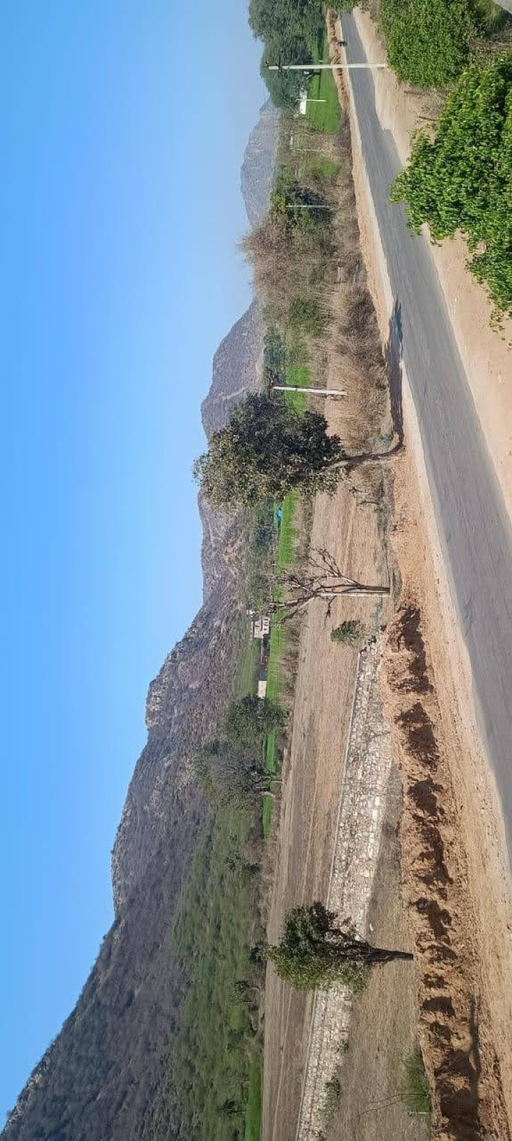 Agricultural Land  for Sale