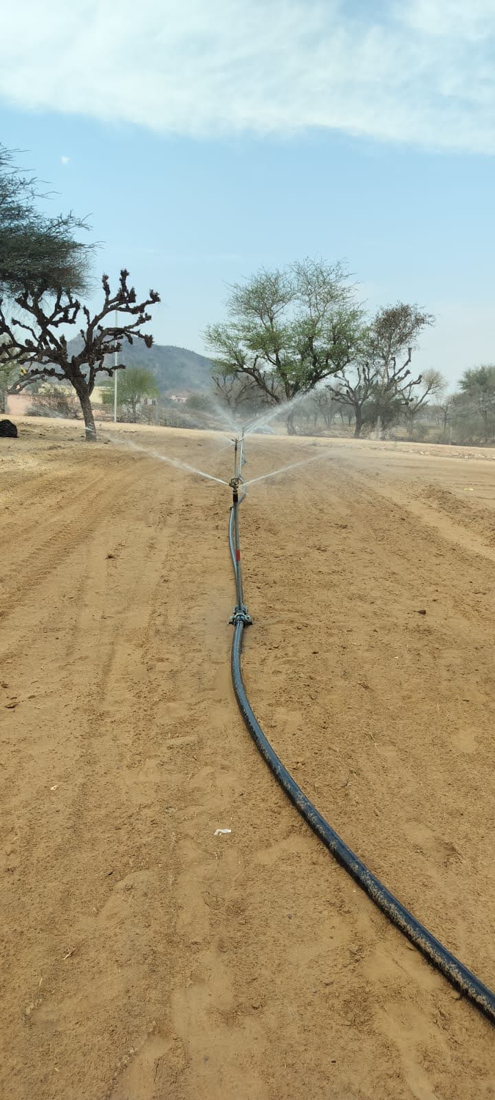 Agricultural Land  for Sale