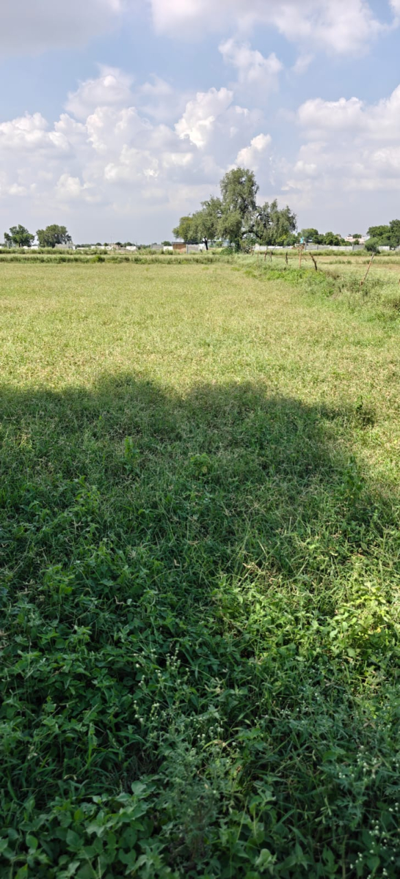 Residential Plot  for Sale